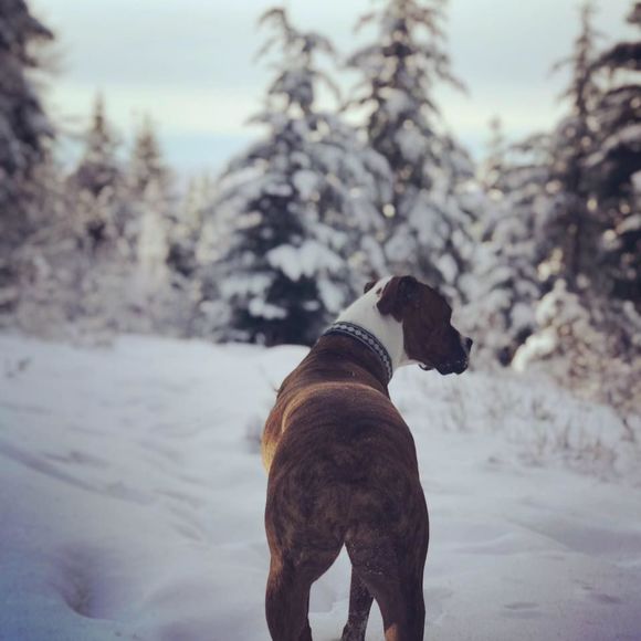 Meet your Posher, Rachael - Picture 1 of 1